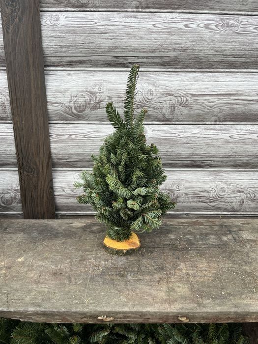 Продам ялинки плетені опт