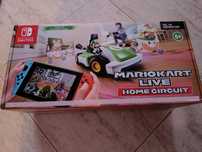 Mario Kart Live home circuit Switch