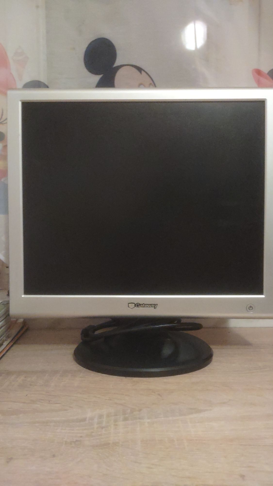 Monitor LCD 17 FPD 1760