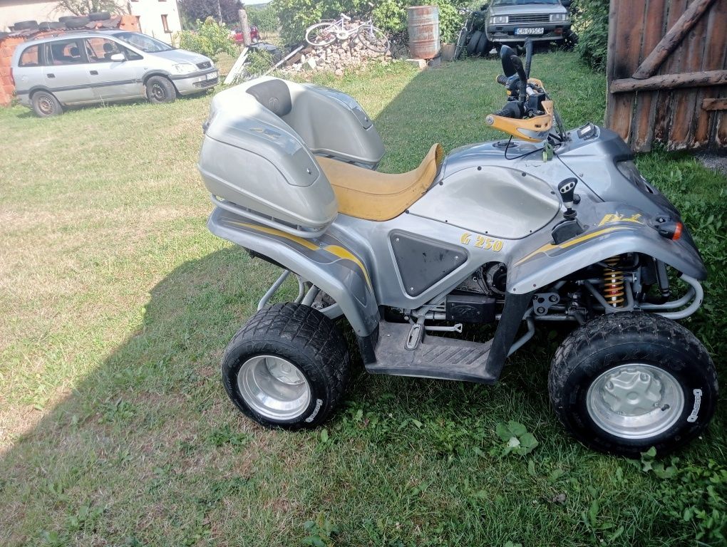 Quad Piaggio Brif