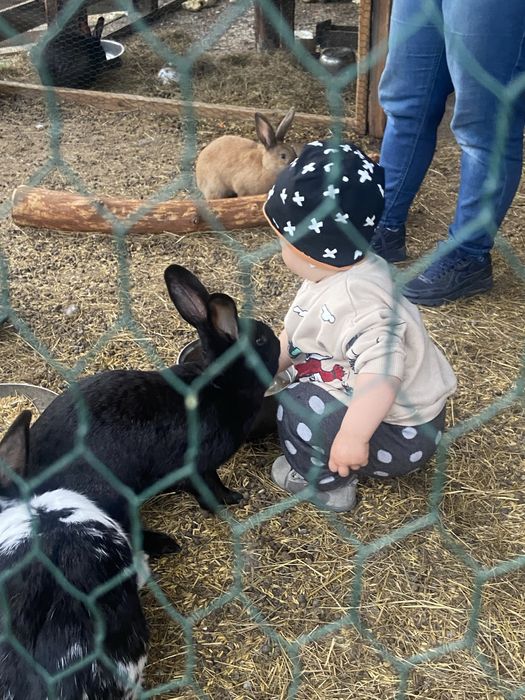 Agroturystyka KOTLINA Kłodzka , Góry Stołowe, wolne pokoje!