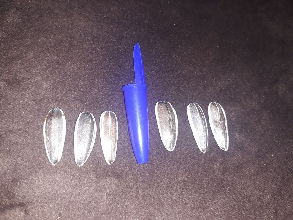 Соняшник насіння,семочки