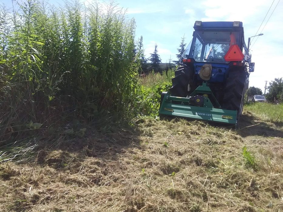 Sprzątanie,czyszczenie działki,wycinka drzew,minikoparka, szambo