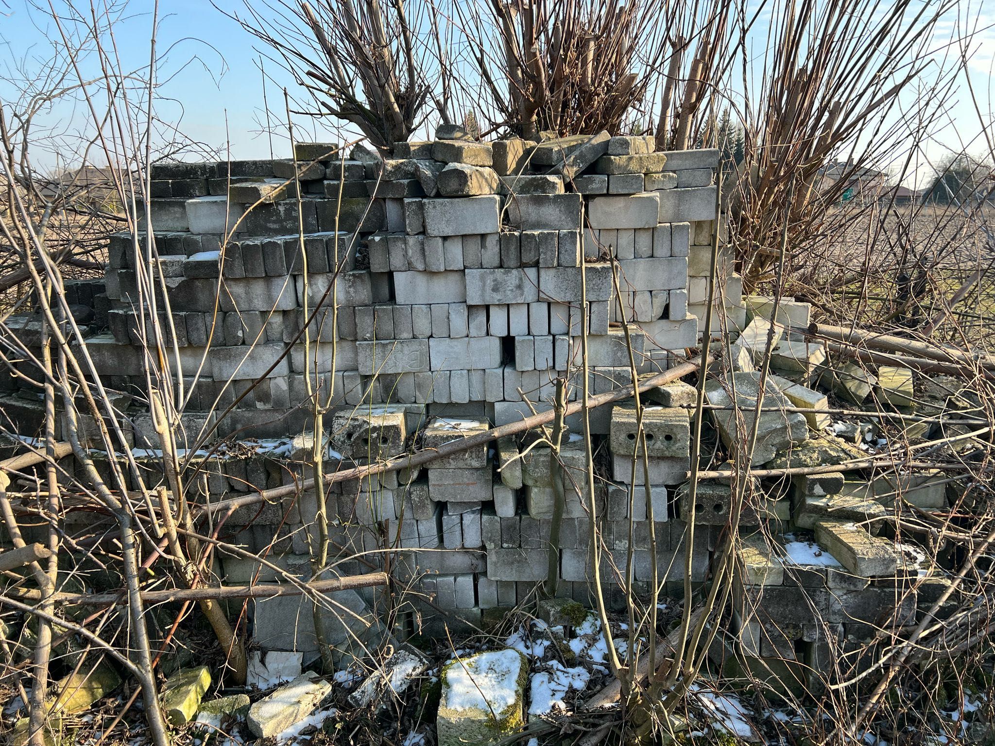 Cegły do zabrania