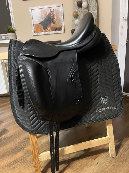 Prestige Dressage Dream 17