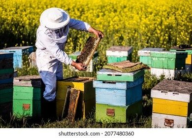 Бджолопакети 2024