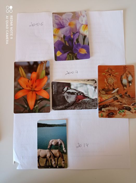 Coleção de calendários de bolso