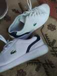Lacoste - adidasy- rozmiar 42