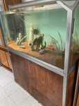 Aquario Completo