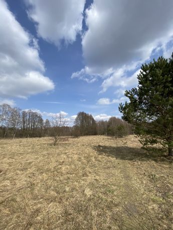 Działka budowlana*Zofiówka*25 min od centrum Łodzi*Świetna okolica