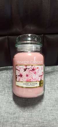 Yankee Candle cherry blossom duża 623g