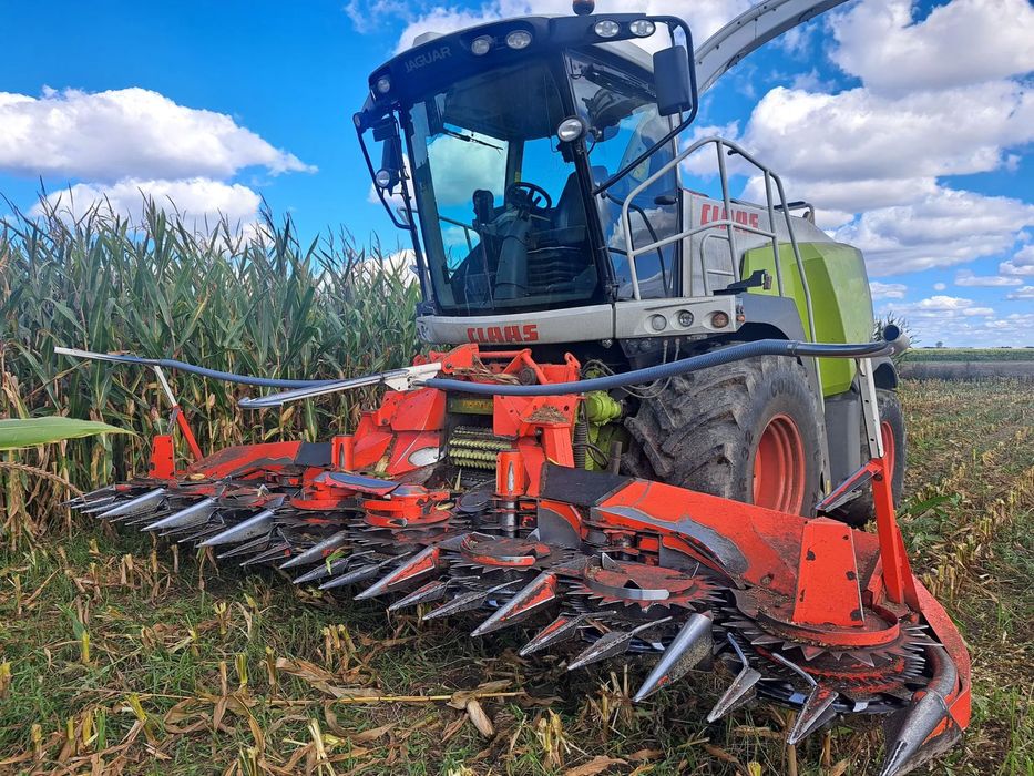 Claas JAGUAR 940 Kemper Champion 360 Plus  Po przeglądzie gotowa do pracy 2011 rok Jaguar 950 960 Katana 65 Krone