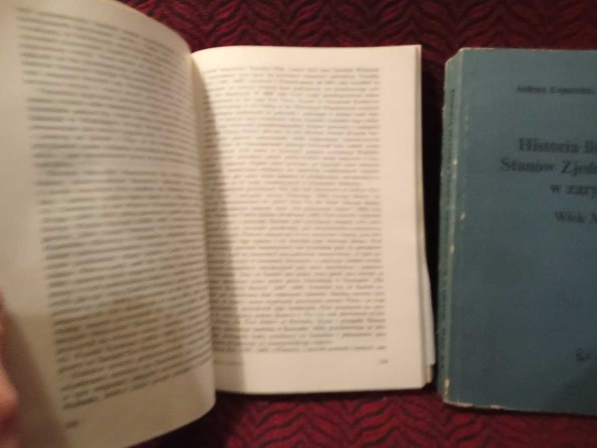 Historia literatury Stanów Zjedoczonych w zarysie - Dwa tomy