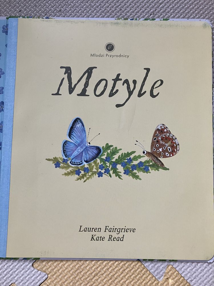 Książka Motyle Młodzi Przyrodnicy Modele do złożenia