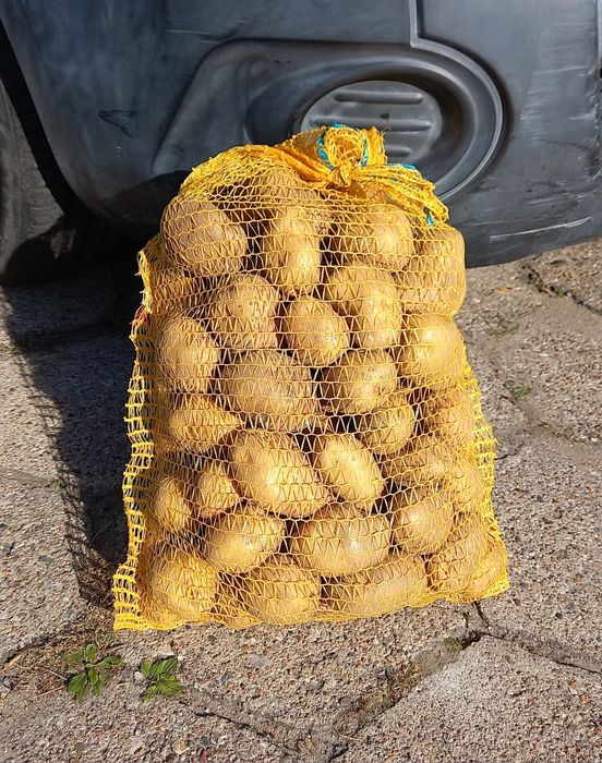 Ziemniaki Denar, ładne