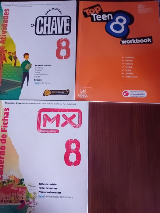 Cadernos de atividades 8.o ano bom estado