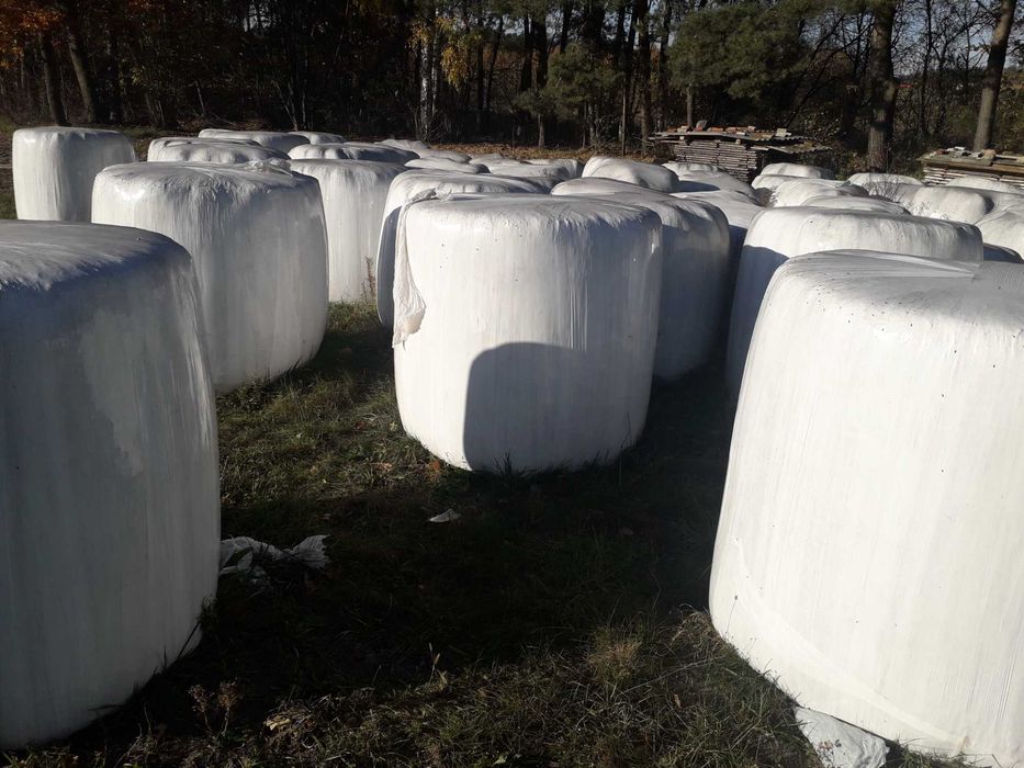 Sprzedam bele kończyny z trawa