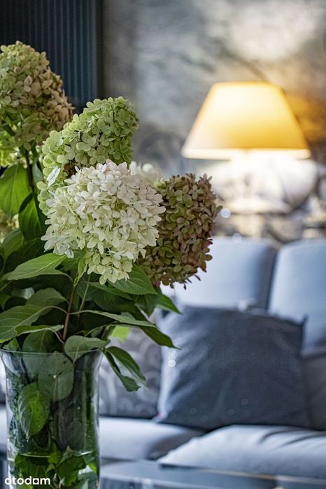 Bez pośrednika - 3pokoje z klimatyzacją, po remoncie, do wprowadzenia.