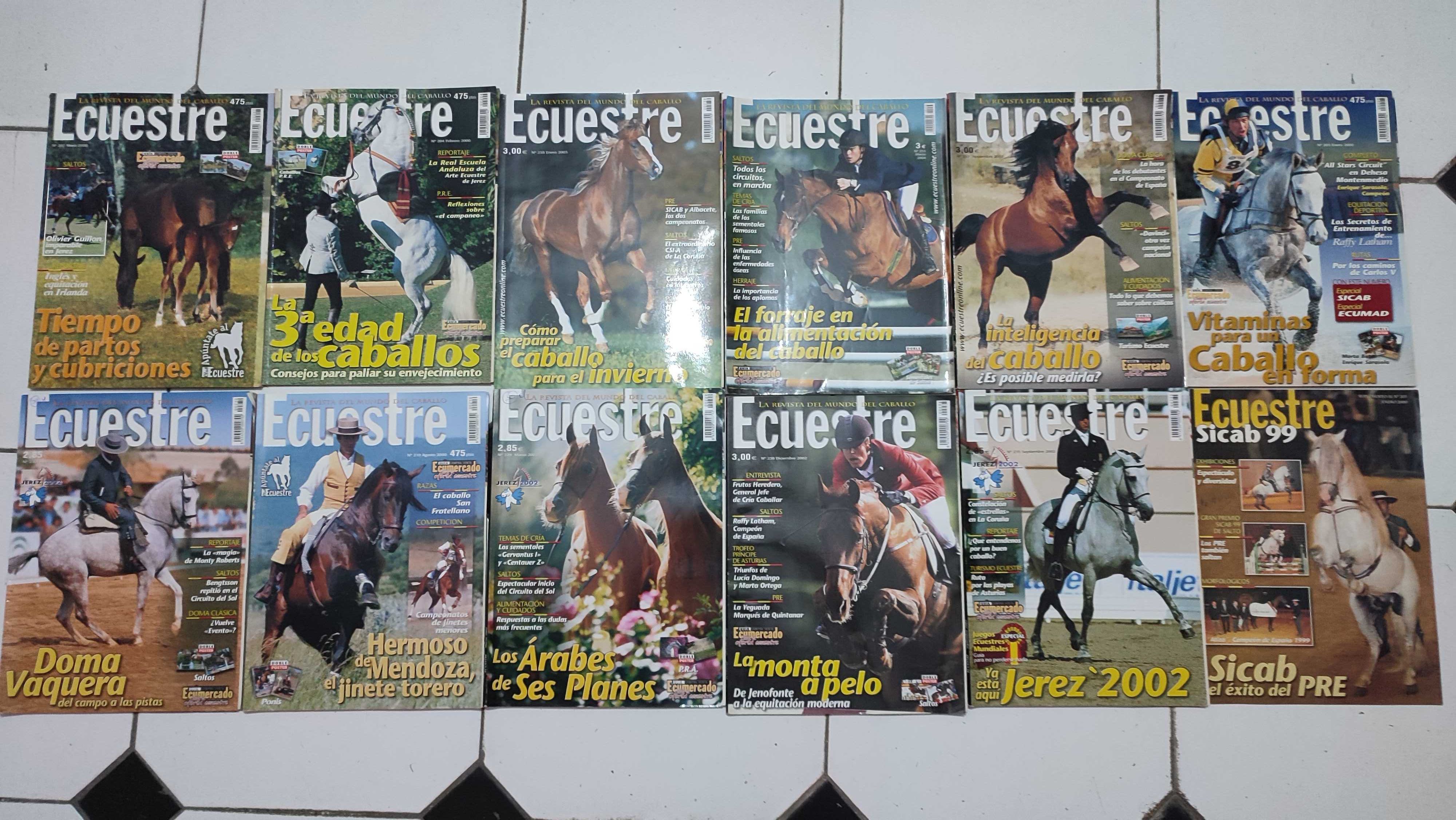 Lote 24 Revistas Ecuestre