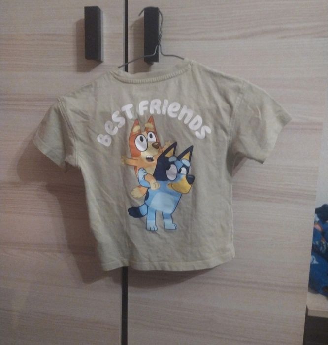 Bluzeczki na krótki rękaw bluey