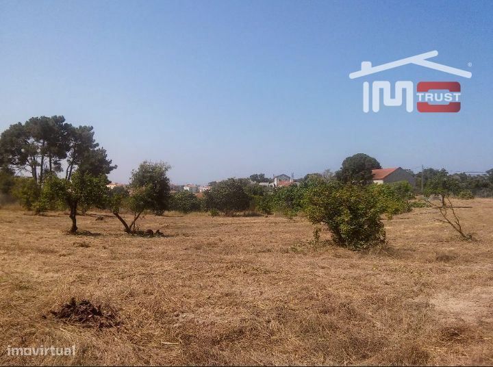 Quinta com 35000 m2 - Seixal