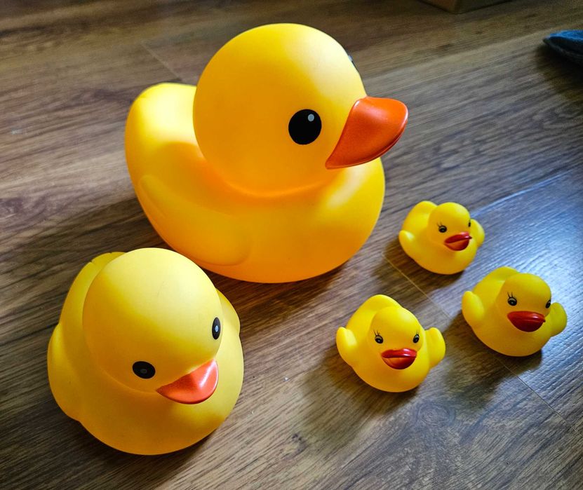 Gumowe kaczki, kaczuszki do wody i zabawy