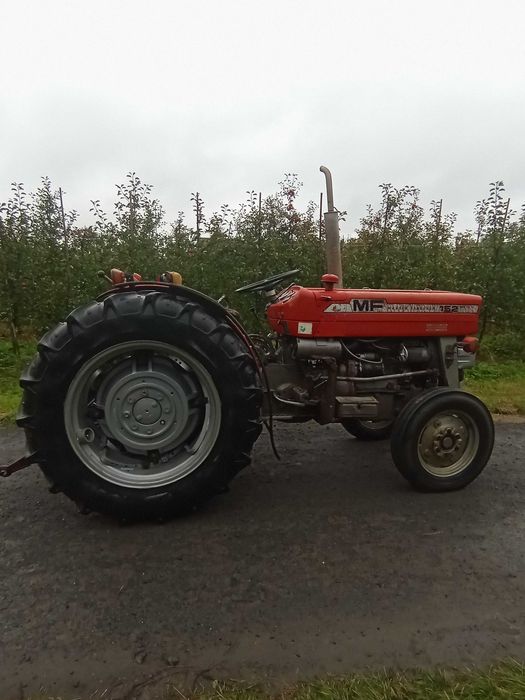 Massey Ferguson 152 mkIII  Sadowniczy