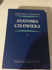 Anatomia człowieka cz.1 Bochenek