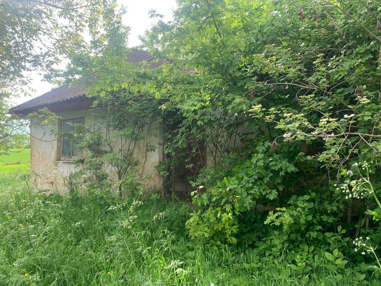 земельна ділянка поруч з лісом