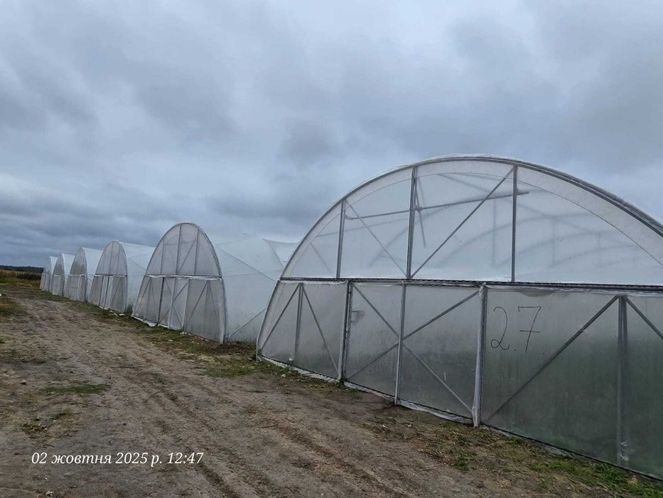 Продаж тепличного комплексу 32 теплиці (16 000 м2), Київська область
