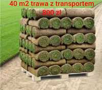 Trawa z rolki 40m2 trawa z transportem