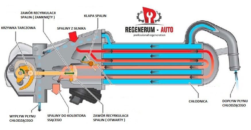 Zawór Egr Chłodnica Spalin Vw Sharan 7N Tiguan Touran 1.6 TDI, 2.0 TDI