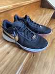 LeBron XX (20) Black Metallic Gold-White + Caixa
