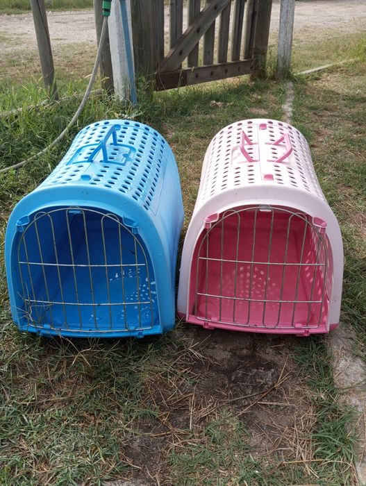 Transportador de gatos e cães