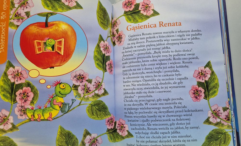 Agnieszka Rahoza Dobranocki