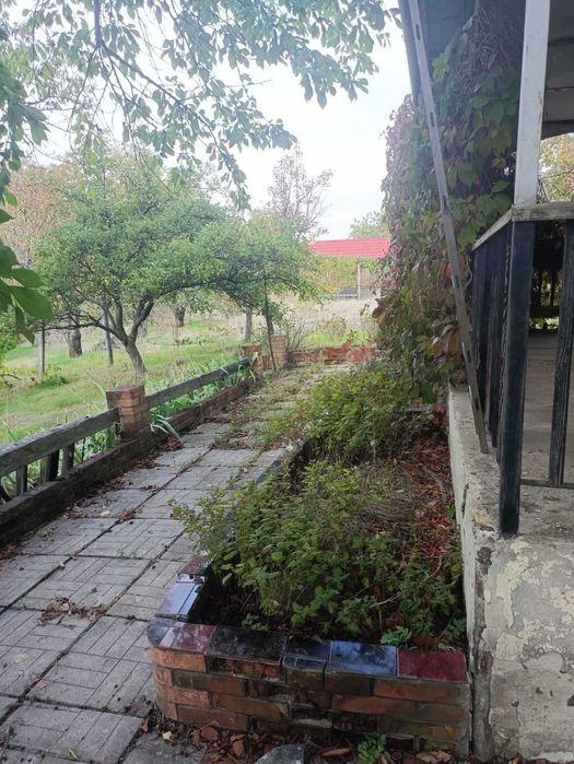 Компактный дом в Светлом на новых дачах