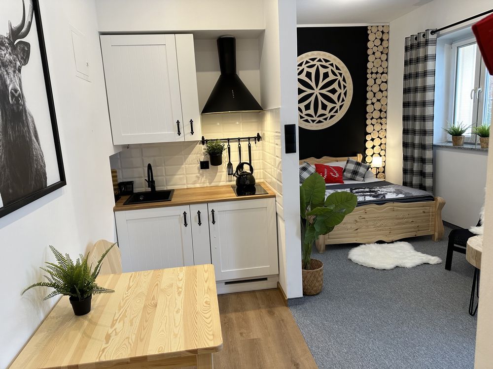 Apartament Janosik Centrum 2 min Krupówki-ŚNIADANIA