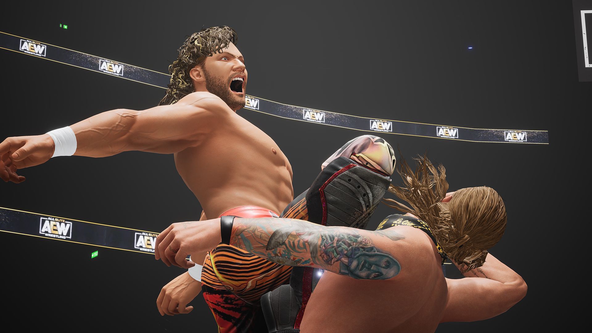 AEW Fight Forever (XONE/XSX) Gra nowa w folii