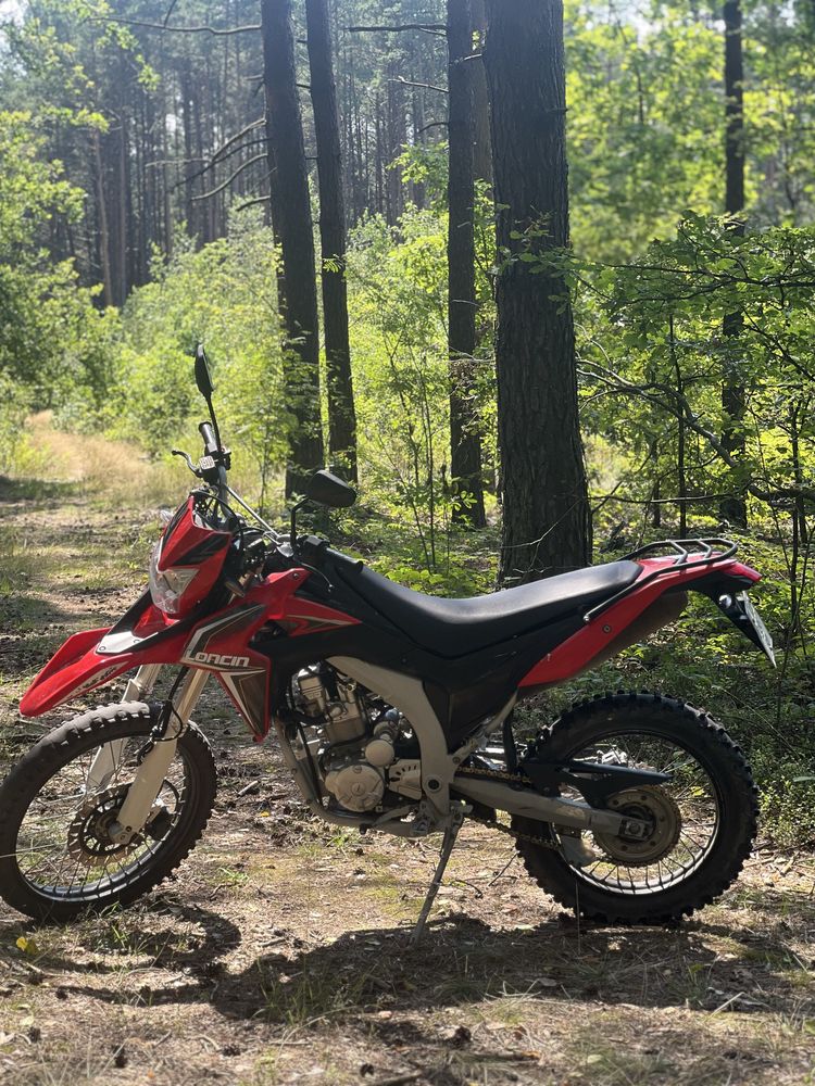 Loncin 300 Лось