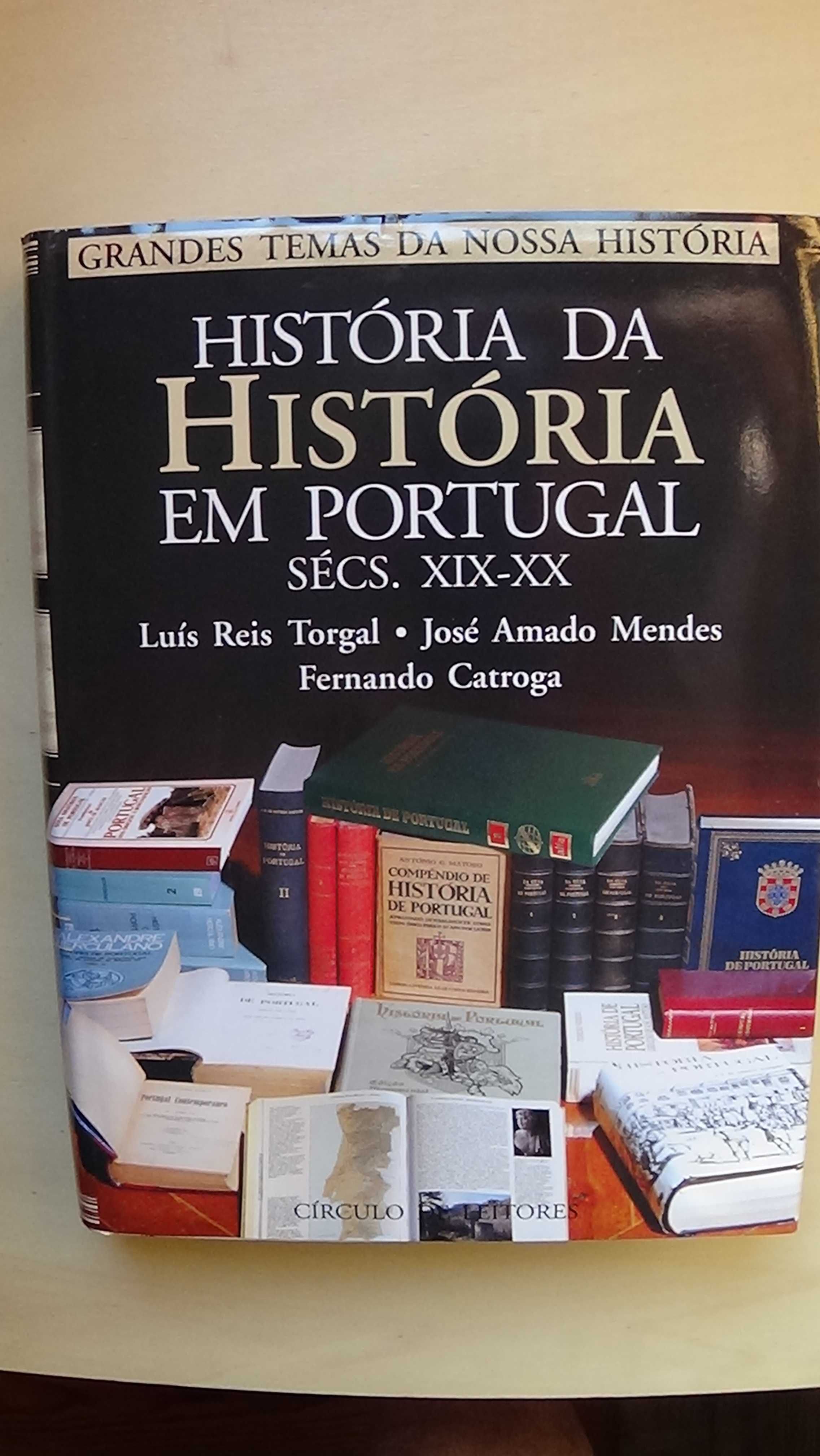 História da História em Portugal (Séculos XIX-XX)