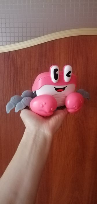Музичний краб рожевий
