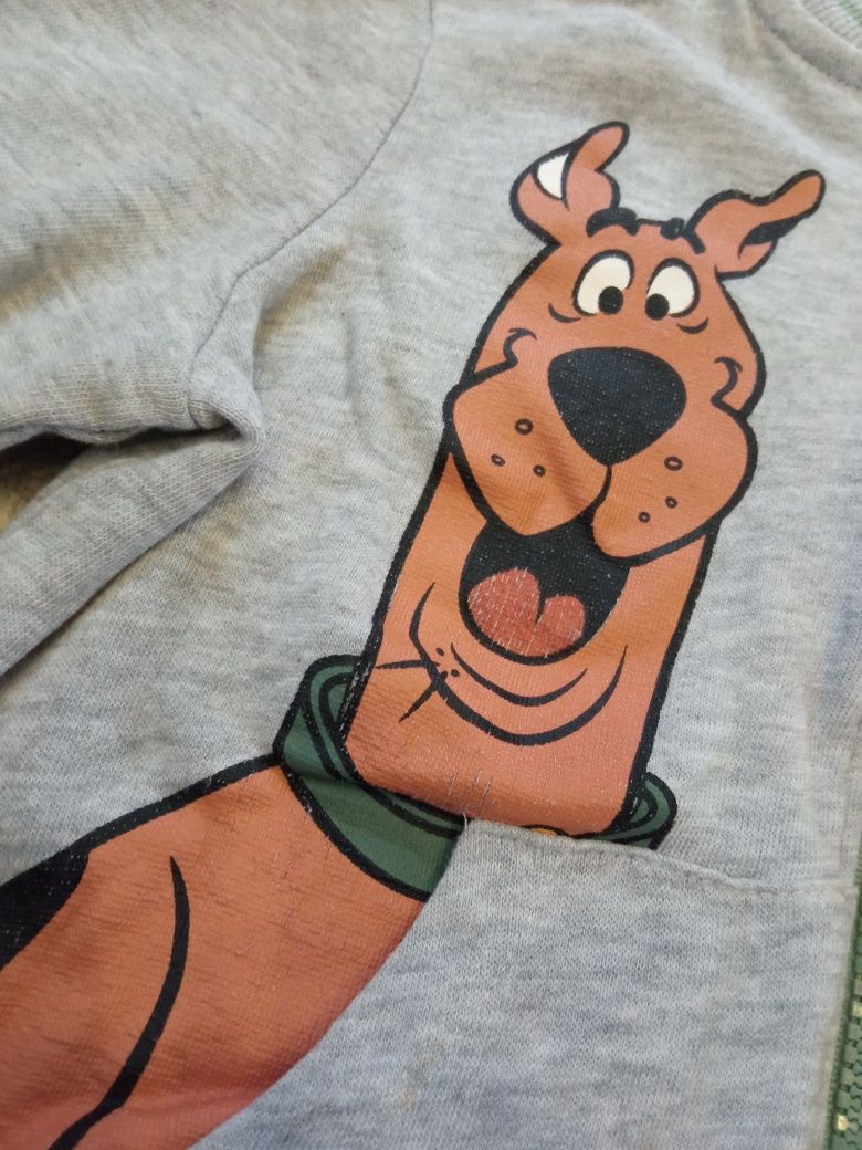 Bluza dresowa Scooby Doo r.98