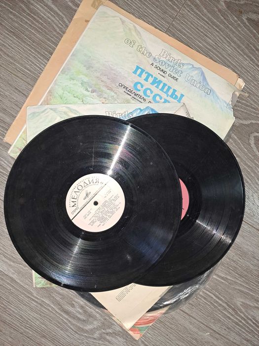 набор виниловые пластинки 20шт большие