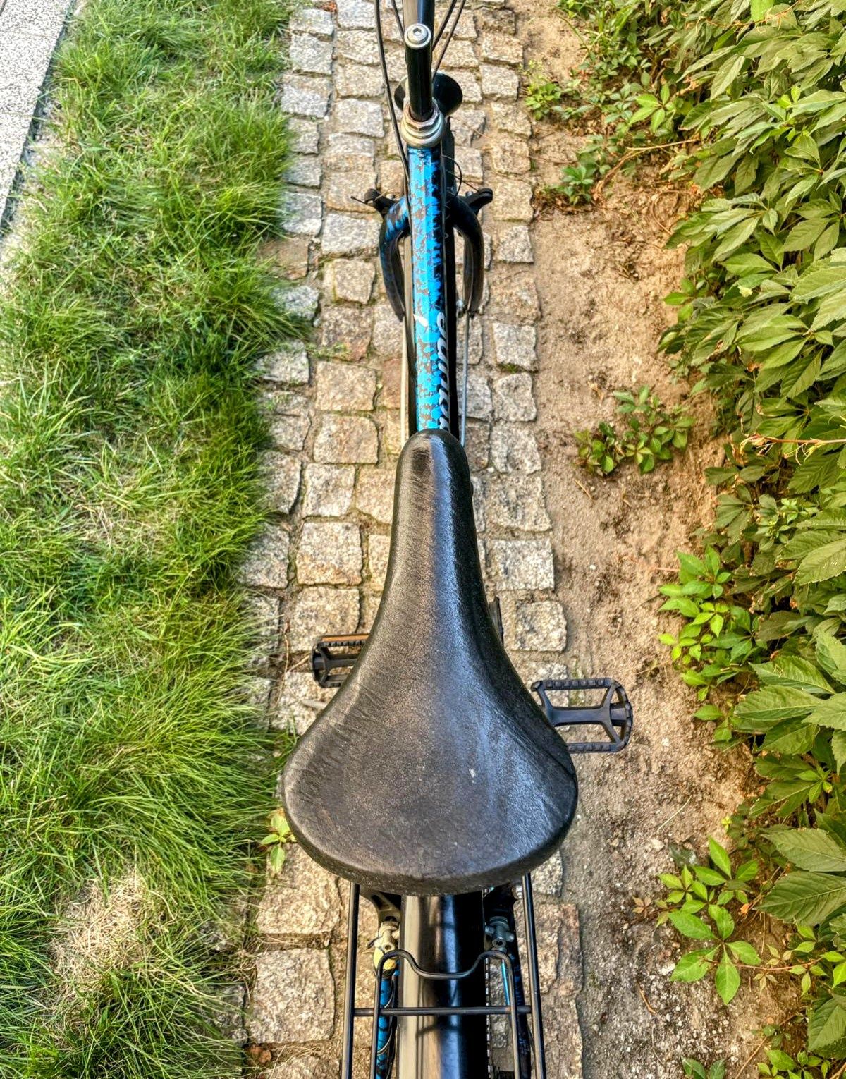 Rower miejski Esperia