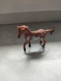 Mały konik collecta, Mustang