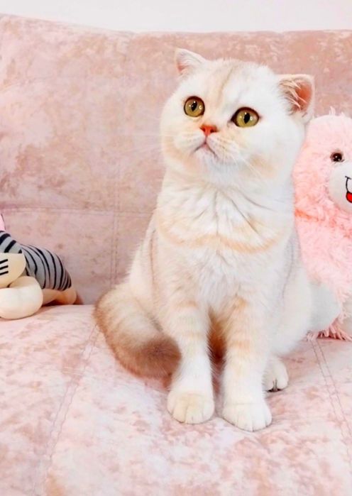 Очаровашка девочка как плюшевый медвежонок