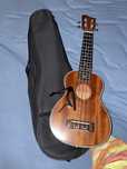 Ukelele Grape + Capo + Case