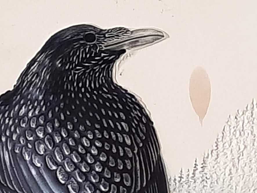 JIE GANTOFTA Kafelek ceramiczny , kafel , obrazek , plakieta - Szwecja