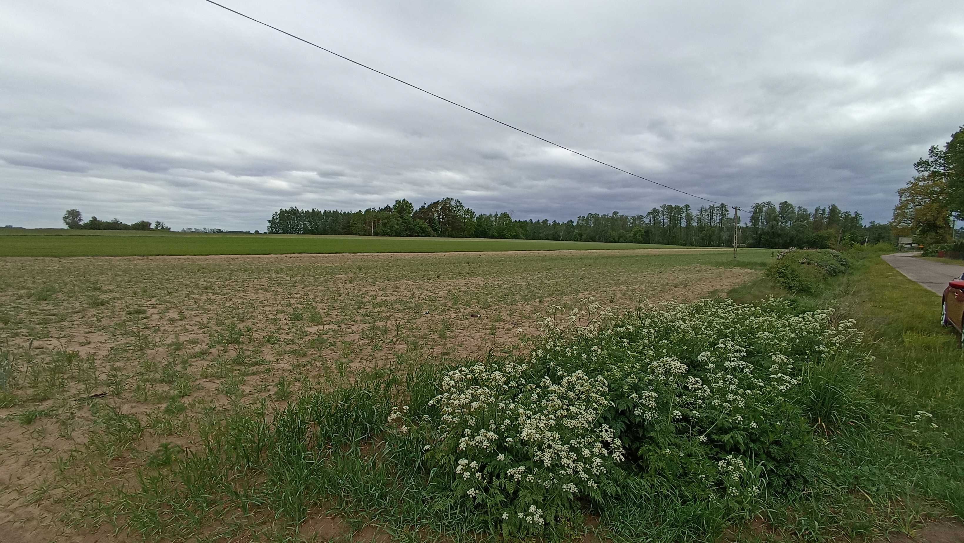 Działka budowlana 12 arów