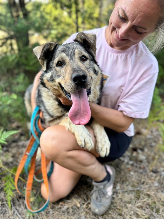 SILVER - najpogodniejszy misiaczek do pokochania!